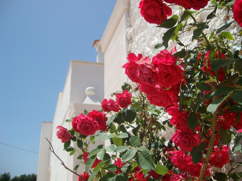 Masseria Nuova Guest House San Marzano di San Giuseppe Bagian luar foto