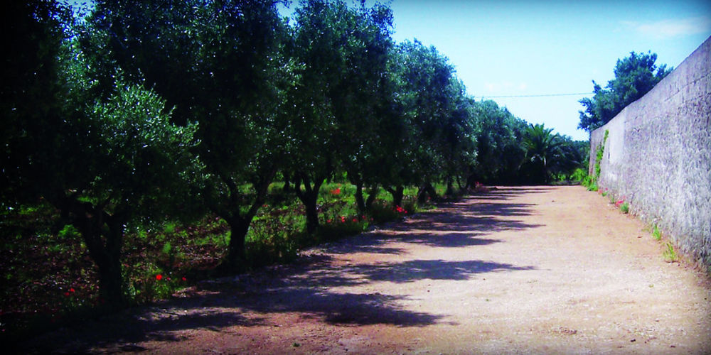 Masseria Nuova Guest House San Marzano di San Giuseppe Bagian luar foto